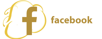 icon facebook