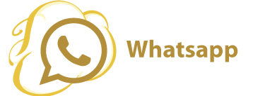 icon whatsapp
